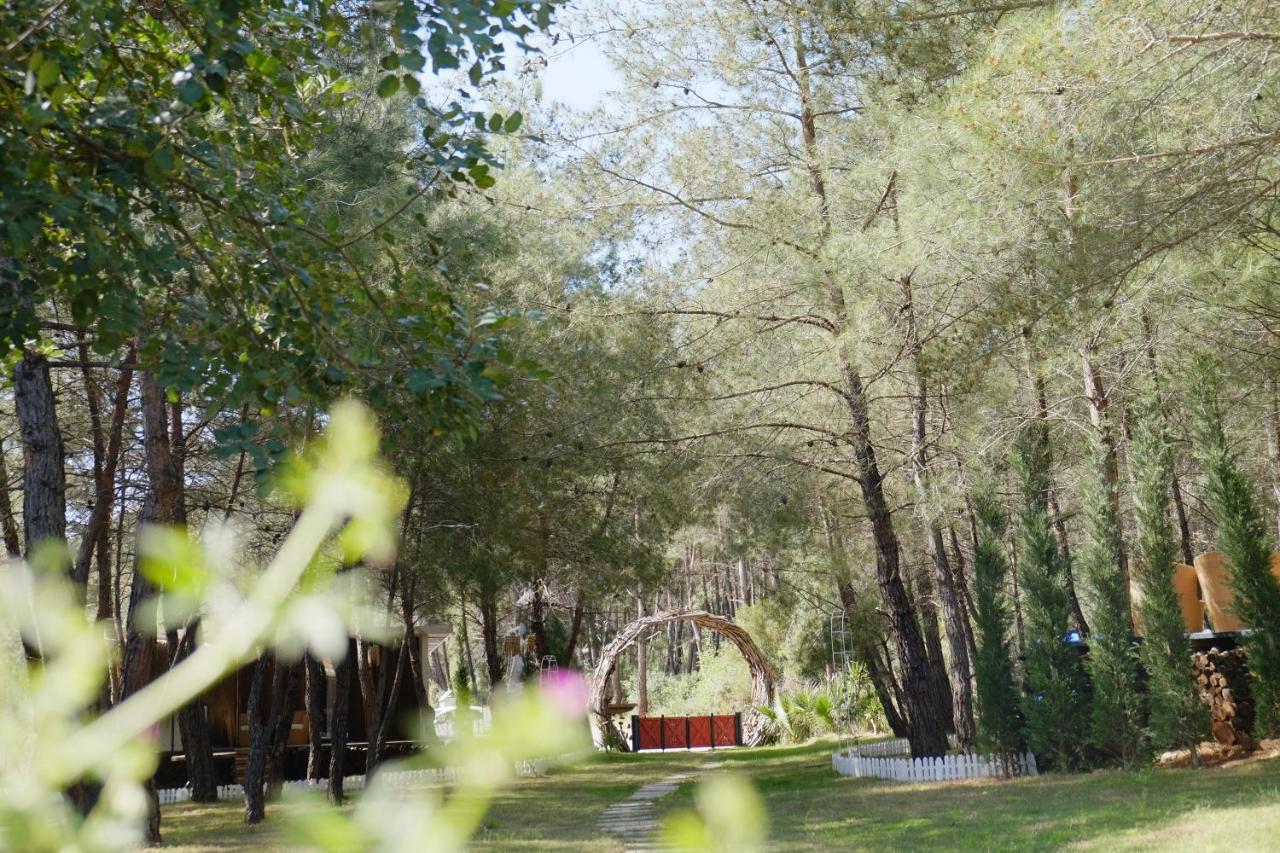 Mossa Afkule Kayakoey Hotel Fethiye Buitenkant foto